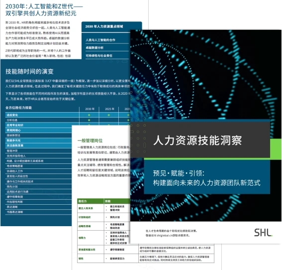 shl hr skills insights report preview cn